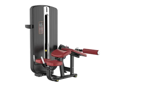 Chest Press
